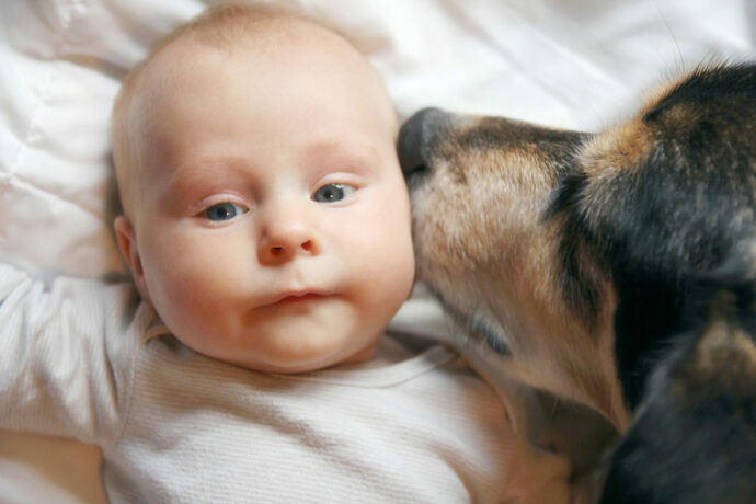 Baby und Haustier