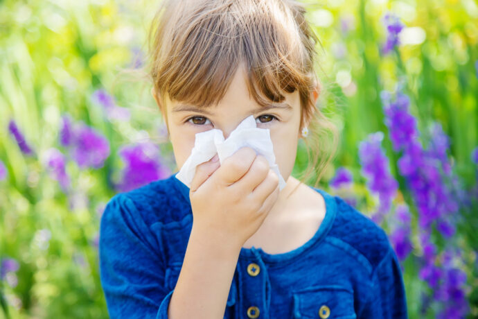 heuschnupfen pollen allergie baby kleinkind
