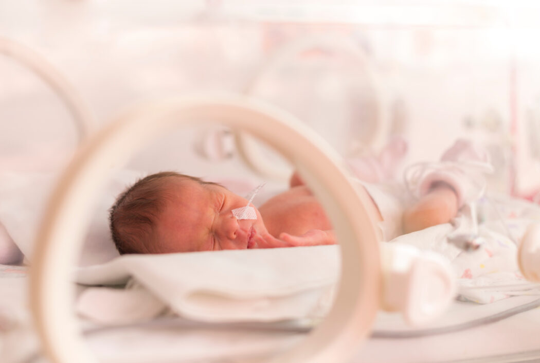 frühchen im brutkasten frühgeborenes im inkubator